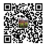 WeChat QR Code