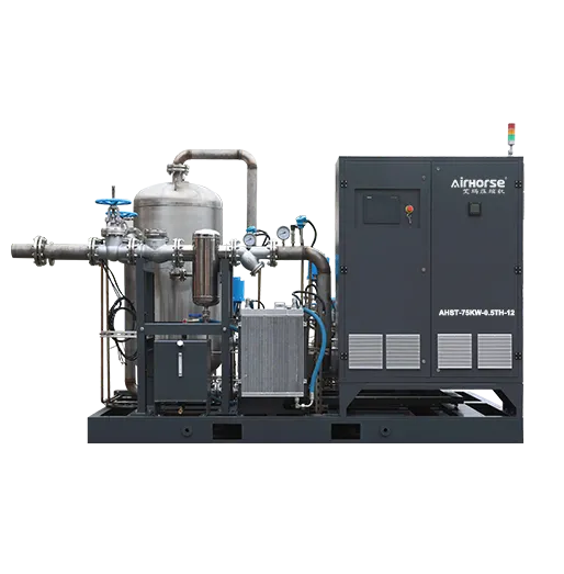 Screw Steam Compressor